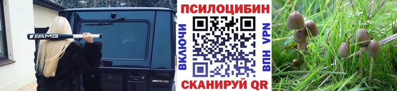Галлюциногенные грибы ЛСД Ялуторовск